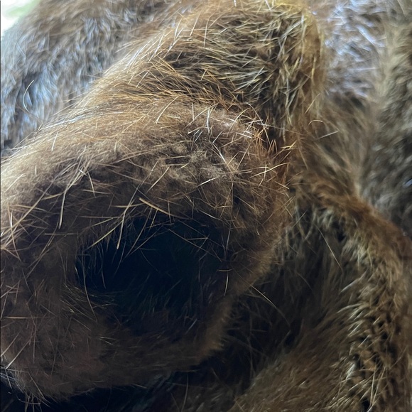 YSL Brown Fur Coat - Picture 9 of 16